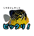 小型ヤッココレクション（個別スタンプ：28）