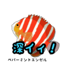 小型ヤッココレクション（個別スタンプ：29）