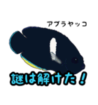 小型ヤッココレクション（個別スタンプ：33）