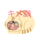 ぼくひできキメ顔しかない（個別スタンプ：7）