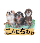 わたさんちの、わちゃわちゃ日常スタンプ（個別スタンプ：2）