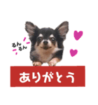 わたさんちの、わちゃわちゃ日常スタンプ（個別スタンプ：14）