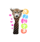鈴と太郎とさくら（個別スタンプ：2）