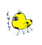 モーモーピヨ（個別スタンプ：9）