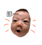 いろはとイギポロ（個別スタンプ：2）