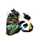 いろはとイギポロ（個別スタンプ：12）