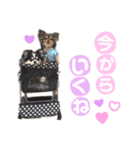 ゆきのえちゃん（個別スタンプ：4）