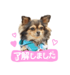 ゆきのえちゃん（個別スタンプ：6）