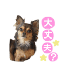 ゆきのえちゃん（個別スタンプ：8）