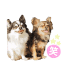 ゆきのえちゃん（個別スタンプ：12）