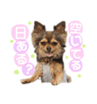 ゆきのえちゃん（個別スタンプ：15）