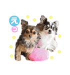 ゆきのえちゃん（個別スタンプ：16）