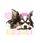 ゆきのえちゃん（個別スタンプ：19）