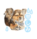 ゆきのえちゃん（個別スタンプ：20）