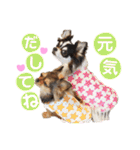 ゆきのえちゃん（個別スタンプ：21）