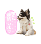 ゆきのえちゃん（個別スタンプ：22）
