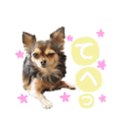 ゆきのえちゃん（個別スタンプ：25）