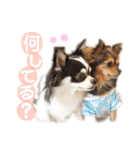 ゆきのえちゃん（個別スタンプ：28）