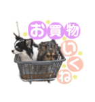 ゆきのえちゃん（個別スタンプ：30）