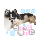 ゆきのえちゃん（個別スタンプ：32）
