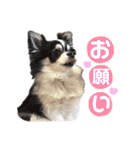 ゆきのえちゃん（個別スタンプ：33）