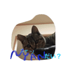 陽気なハイジ（個別スタンプ：10）