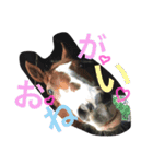 陽気なハイジ（個別スタンプ：24）