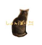 もんた（個別スタンプ：1）