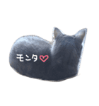 もんた（個別スタンプ：4）
