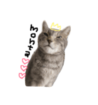 もんた（個別スタンプ：8）
