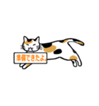 ねこが伝えるこの思い（個別スタンプ：3）