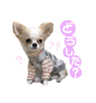 いずつむちゃん（個別スタンプ：2）