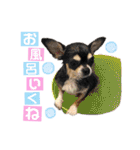 いずつむちゃん（個別スタンプ：3）