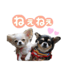 いずつむちゃん（個別スタンプ：4）