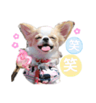 いずつむちゃん（個別スタンプ：5）