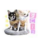 いずつむちゃん（個別スタンプ：6）