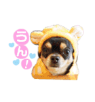 いずつむちゃん（個別スタンプ：8）