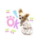 いずつむちゃん（個別スタンプ：9）