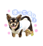 いずつむちゃん（個別スタンプ：10）