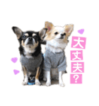 いずつむちゃん（個別スタンプ：11）