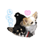 いずつむちゃん（個別スタンプ：12）