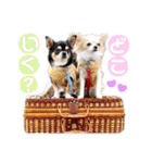 いずつむちゃん（個別スタンプ：15）