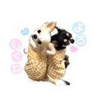 いずつむちゃん（個別スタンプ：17）