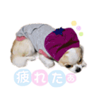 いずつむちゃん（個別スタンプ：19）