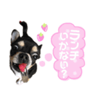 いずつむちゃん（個別スタンプ：20）