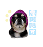いずつむちゃん（個別スタンプ：21）