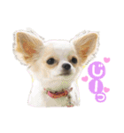 いずつむちゃん（個別スタンプ：22）