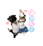 いずつむちゃん（個別スタンプ：27）