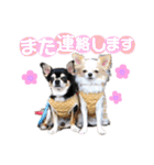 いずつむちゃん（個別スタンプ：30）