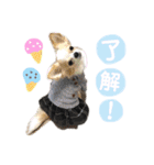 いずつむちゃん（個別スタンプ：31）